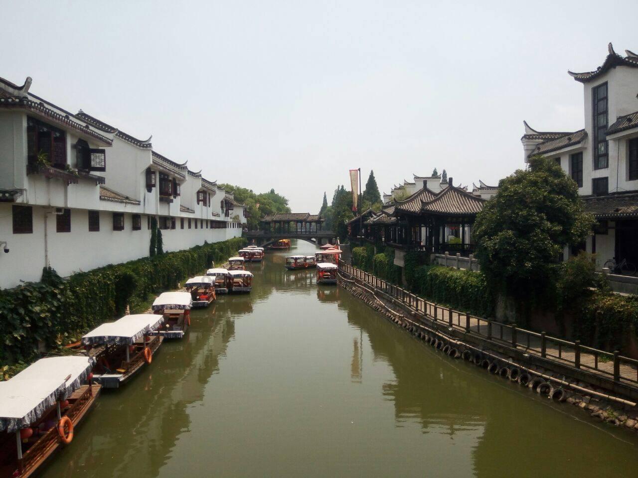 救援受困的鹭